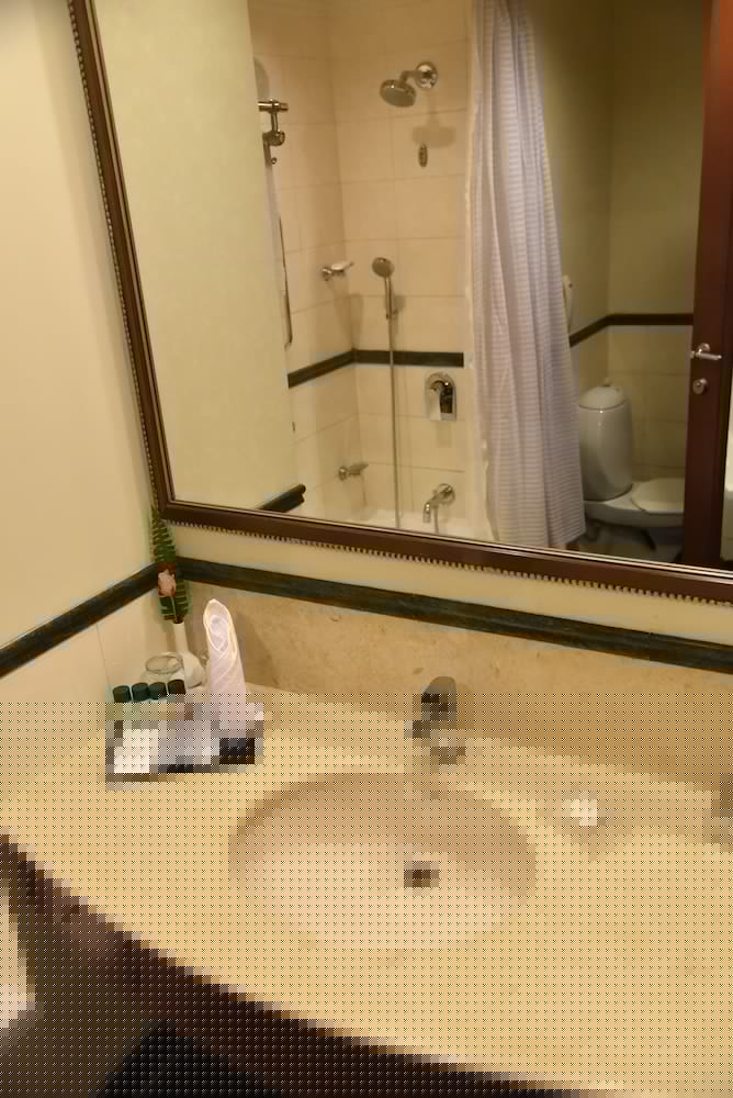 Фото Radisson Hotel Varanasi