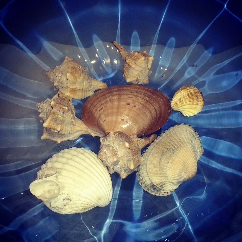 Фото Hotel Cristallo