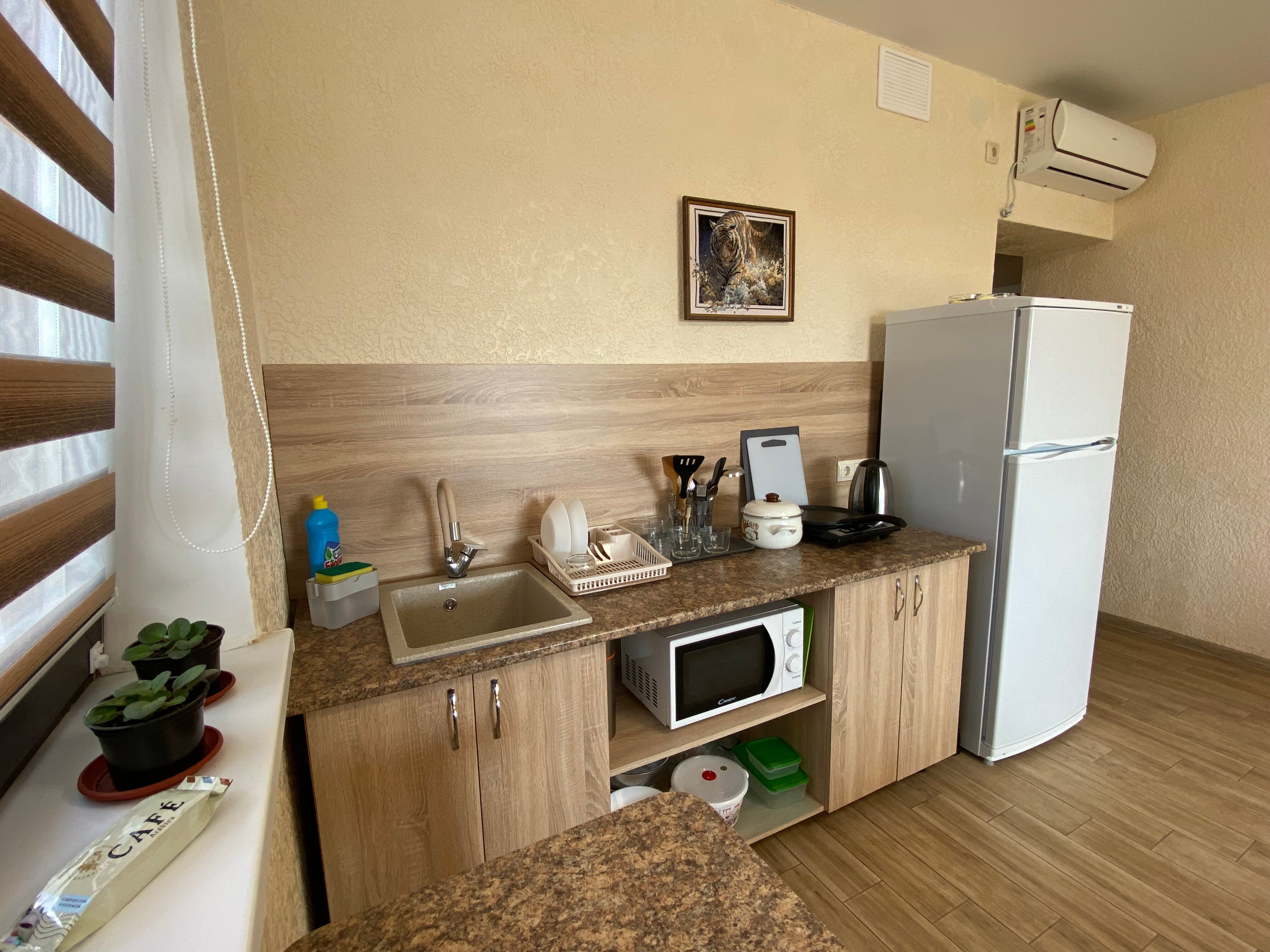 Фото Сантолина