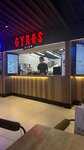 Gyros Club (Pushkinskaya Street, 50), fast food