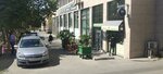 Procoffee (Izzet Nеbiyev Street, 40A) ، مقهى