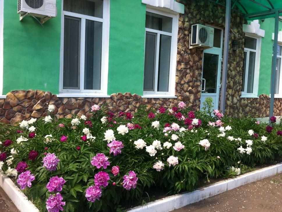 Фото отеля 5