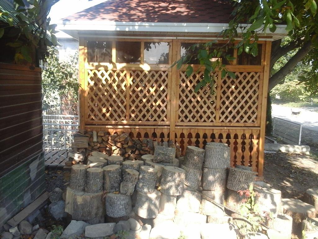 Фото Надежда