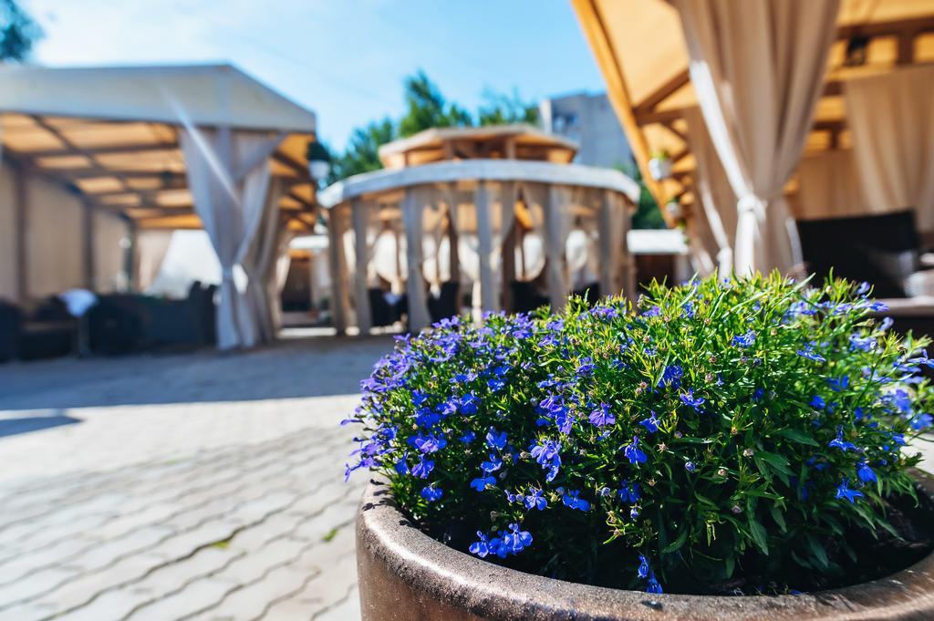 Фото Николаевский