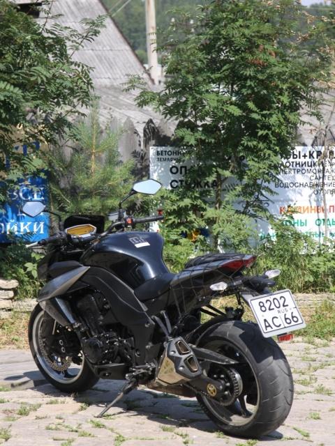 Фото Лесная поляна