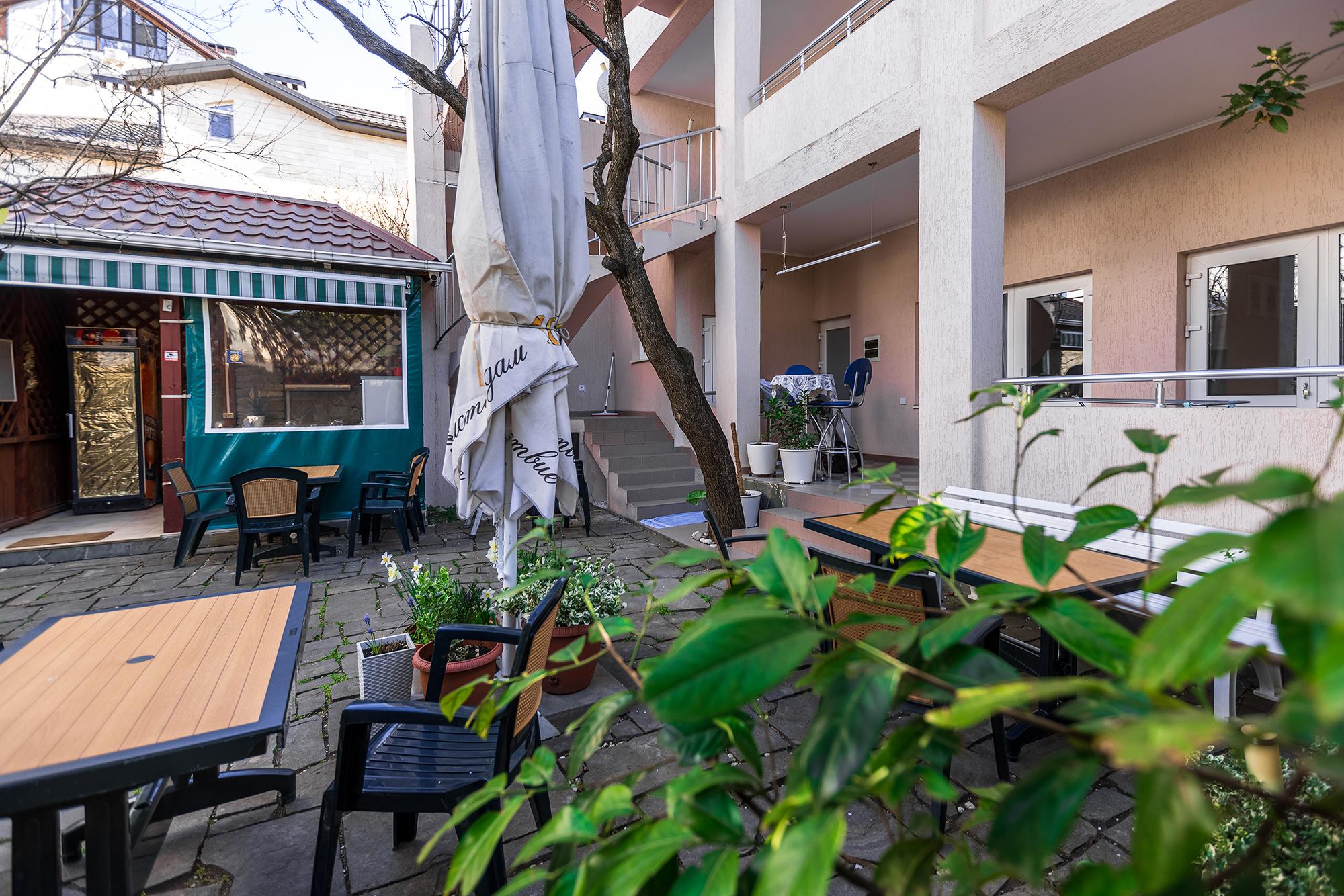 Фото Абрикос