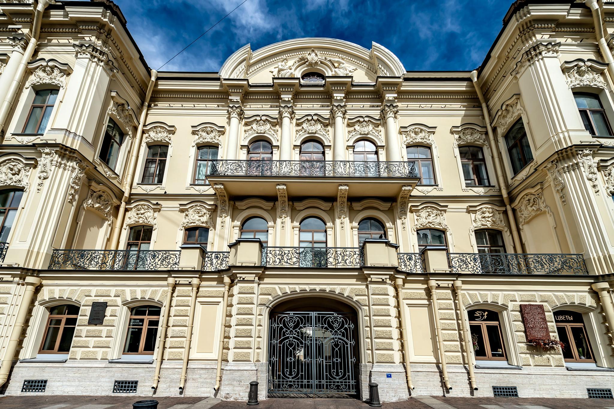 Фото Чайка на Фонтанке