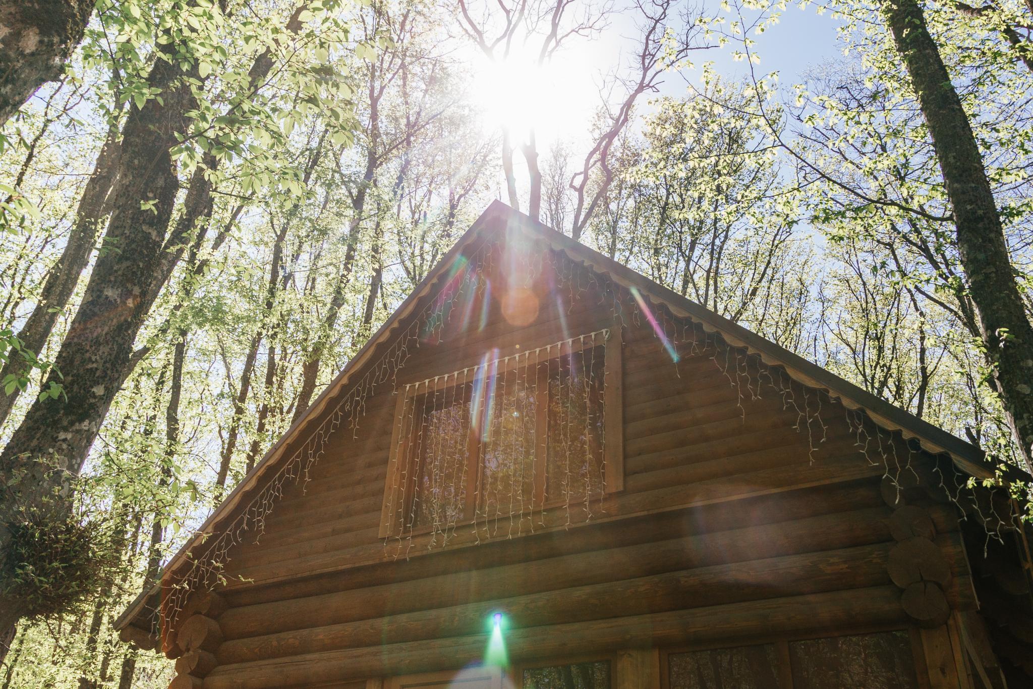 Фото Лесная поляна