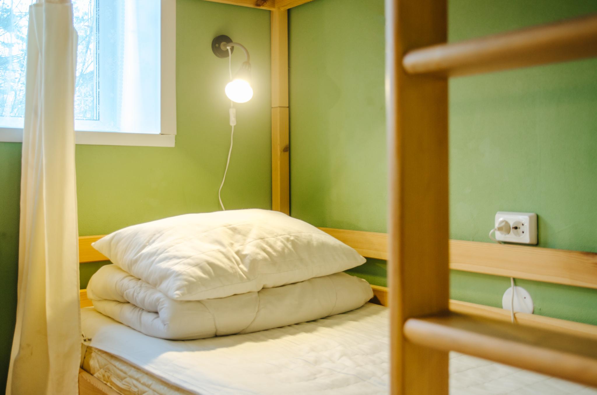 Фото Брусничка