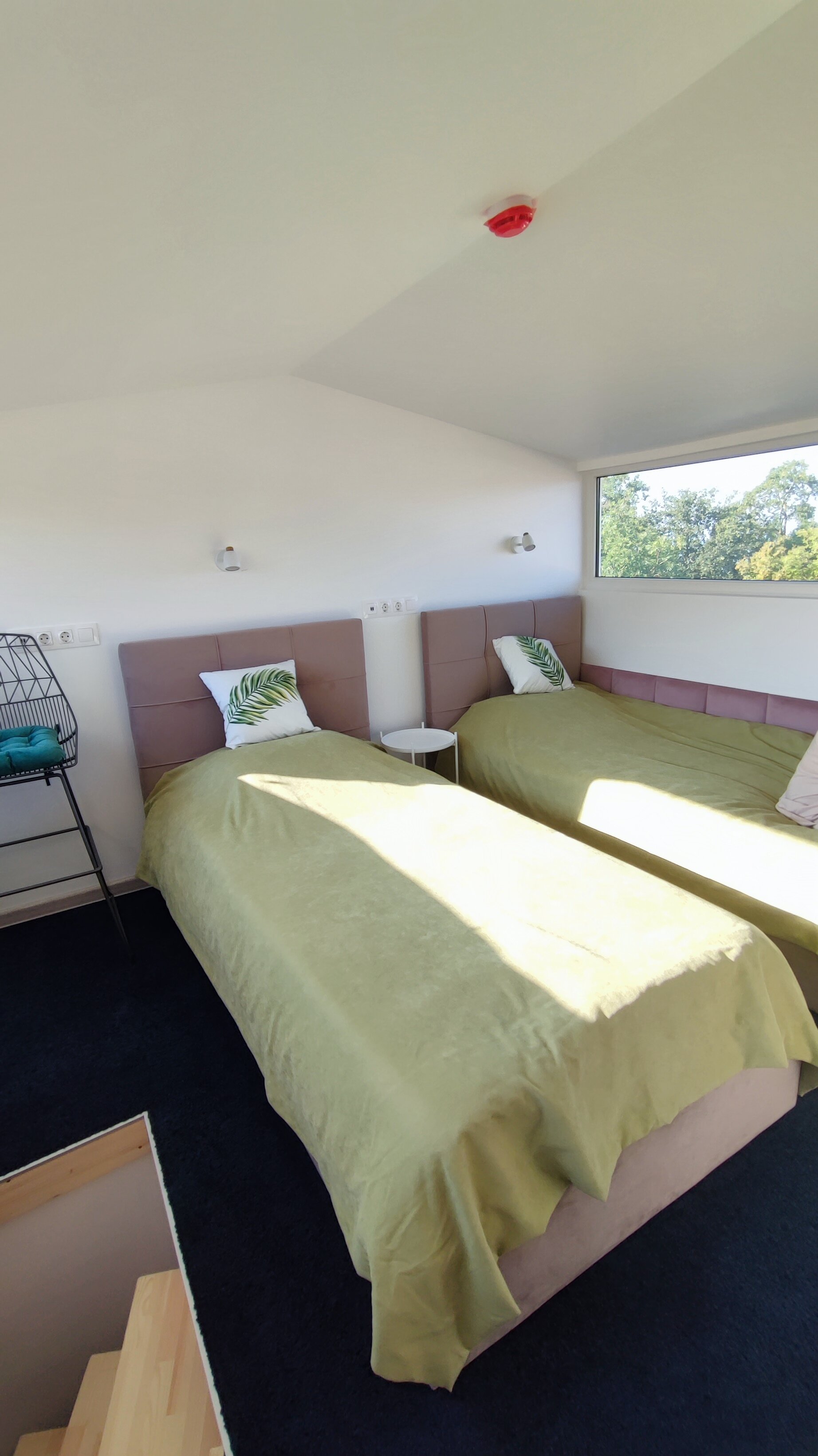 Фото АмстерДом