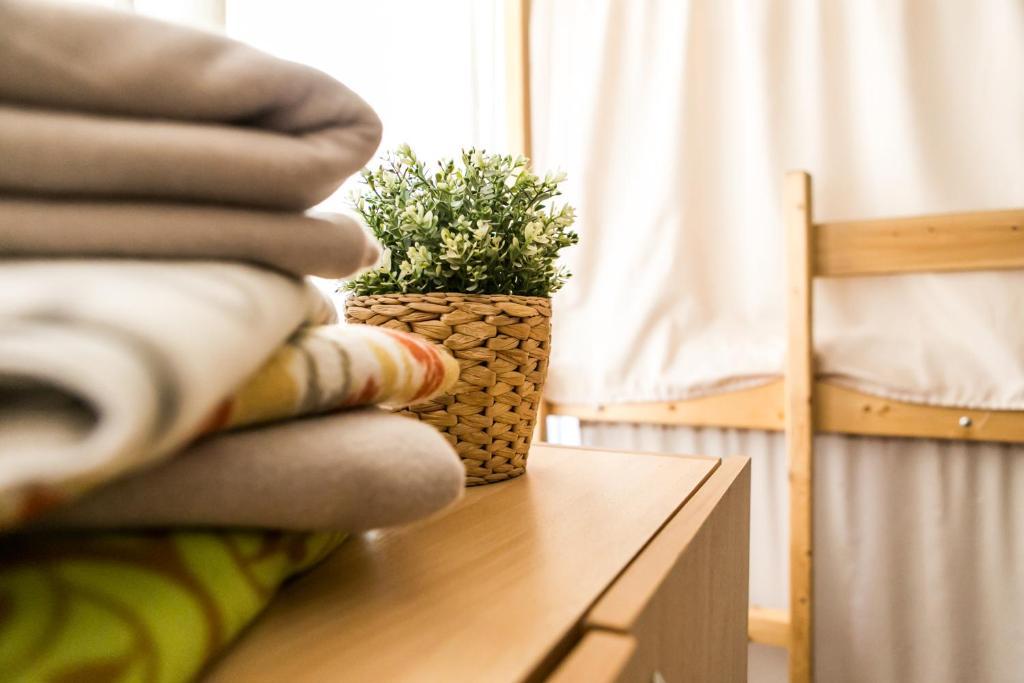 Фото Маэстро