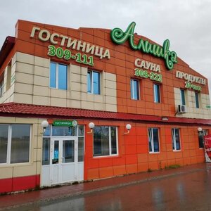 Гостиница Алишка