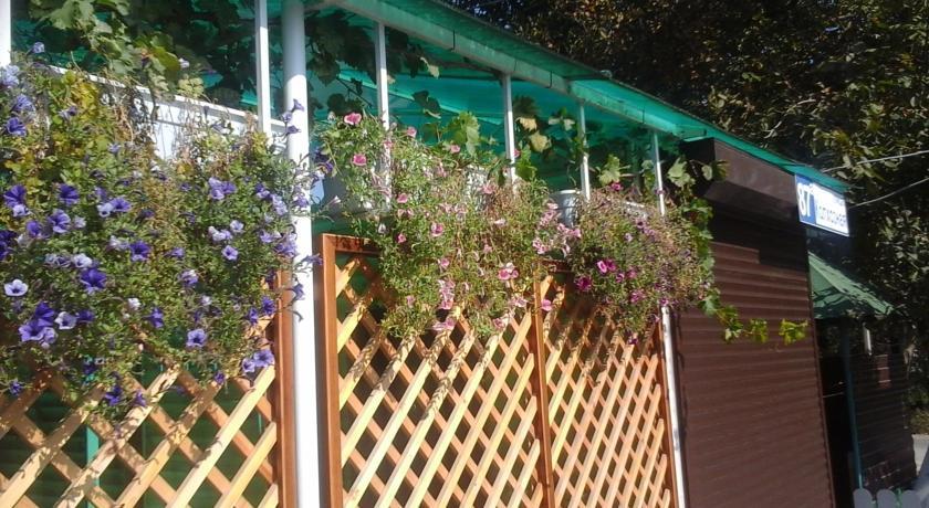 Фото Надежда