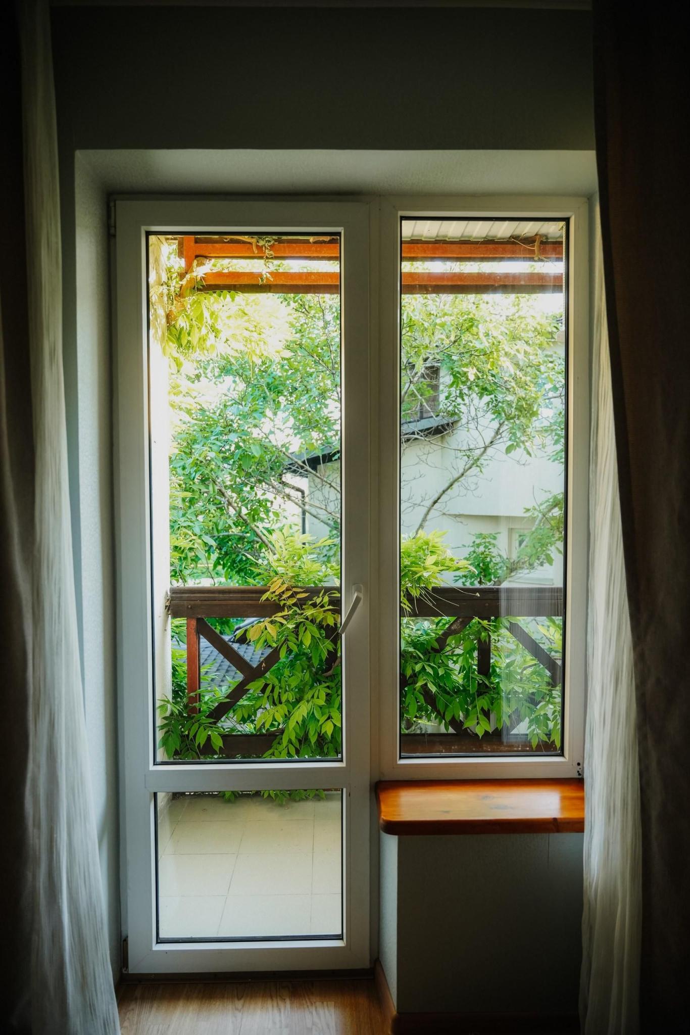 Фото Большая Черепаха