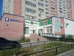 CopyTehnik (Chavayna Boulevard, 12), consumibles para equipos de oficina