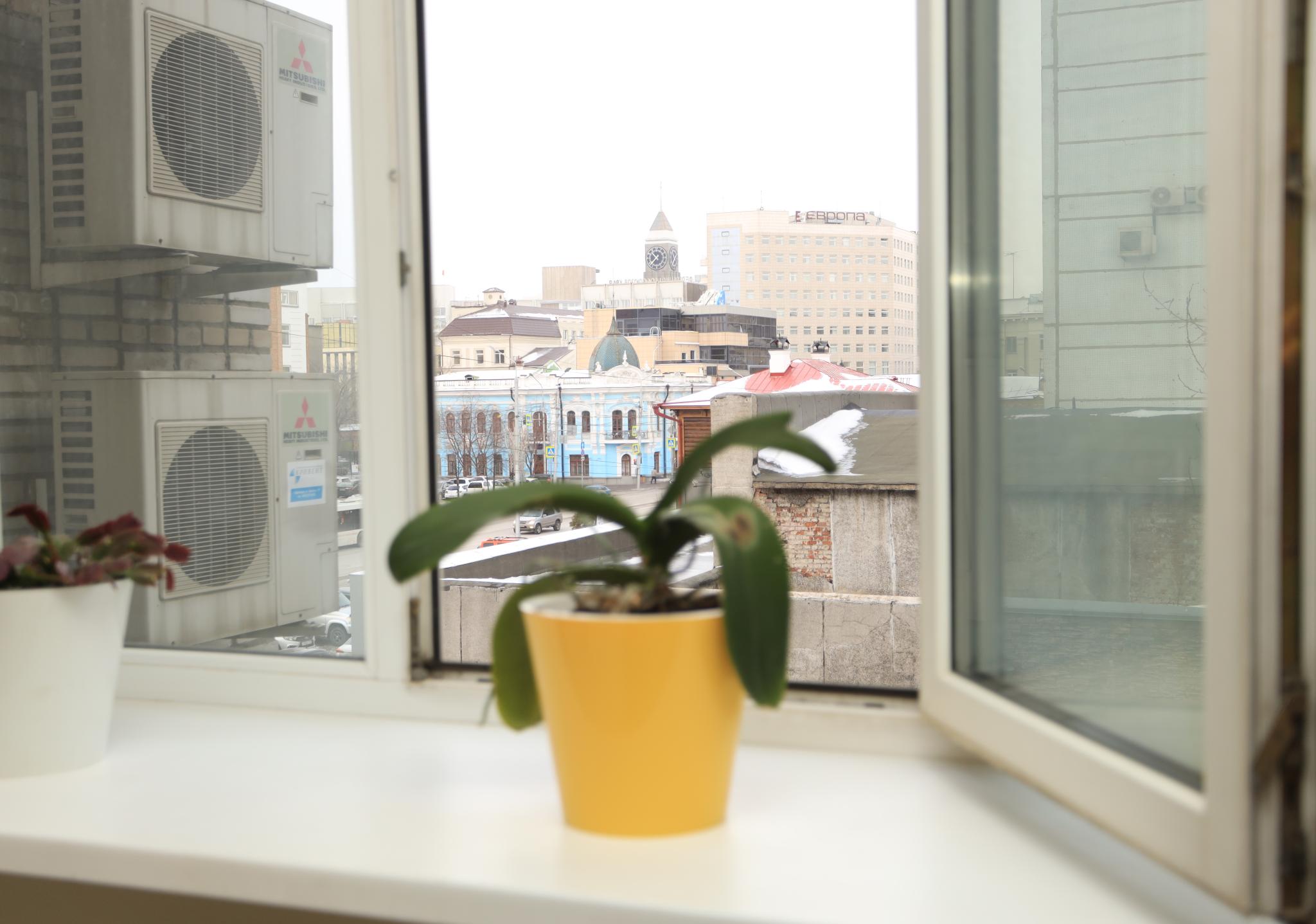 Фото Звездочка