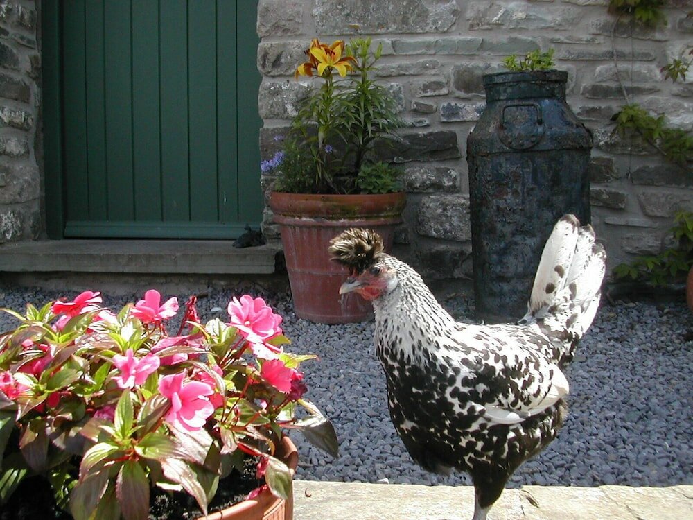 Фото Alltybrain Farm Cottages and B&b