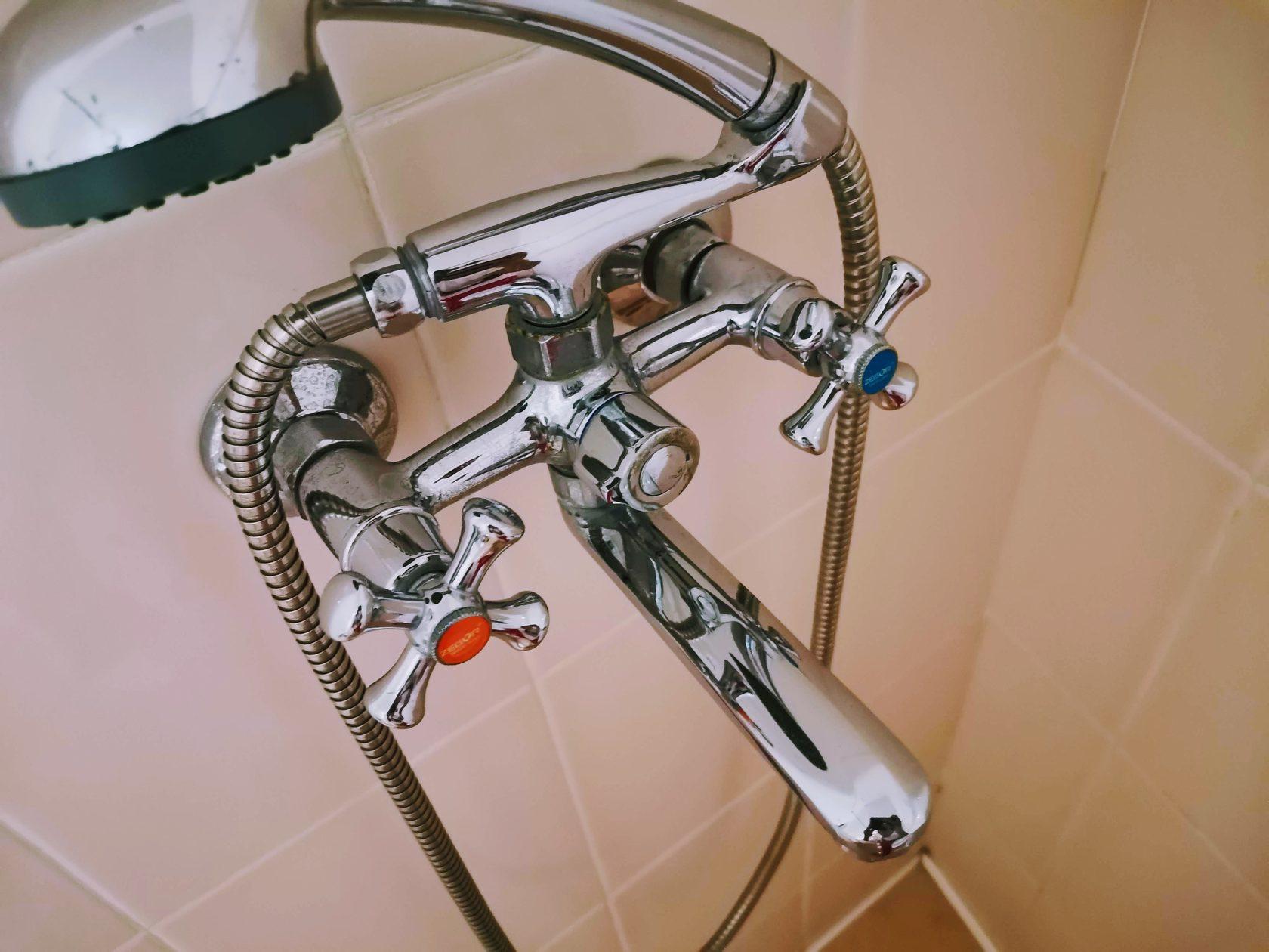 Фото Ракушка