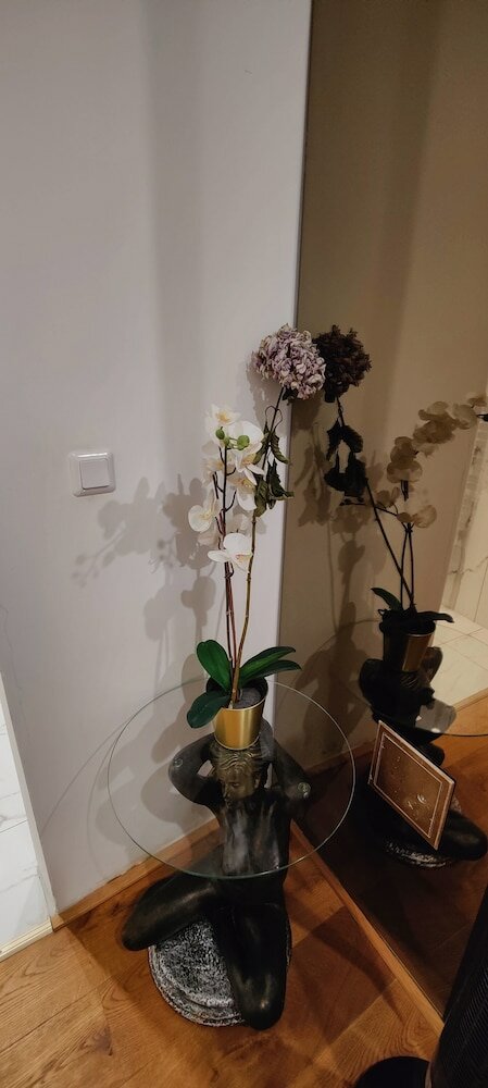 Фото XuBa Apartment