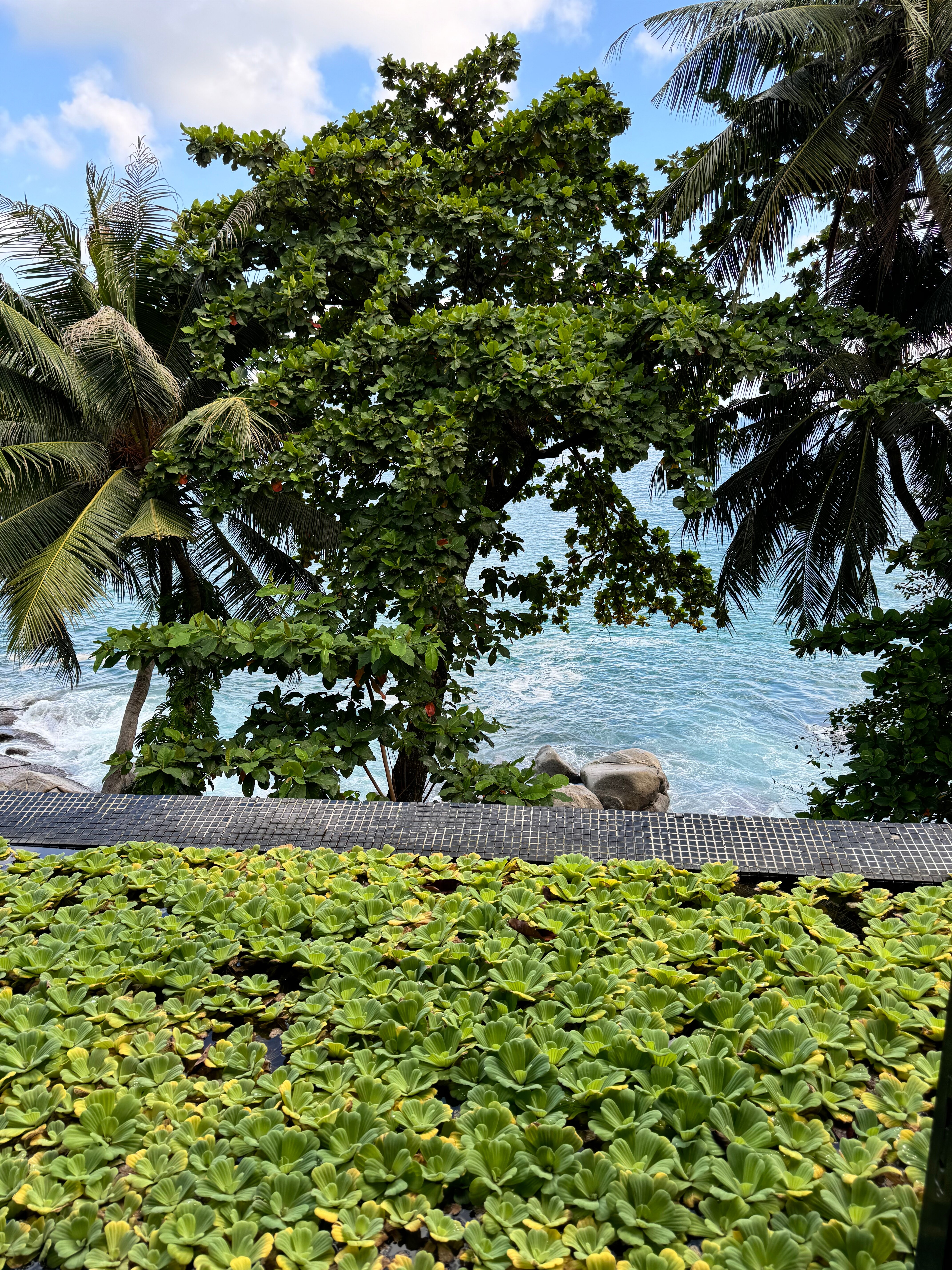 Фото Centara Villas Phuket