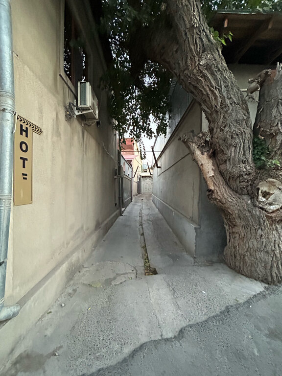 Фото Samarkand Ali