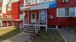Программирование для детей (Village of Zasechnoe, Svetlaya Street, 12), courses and master classes