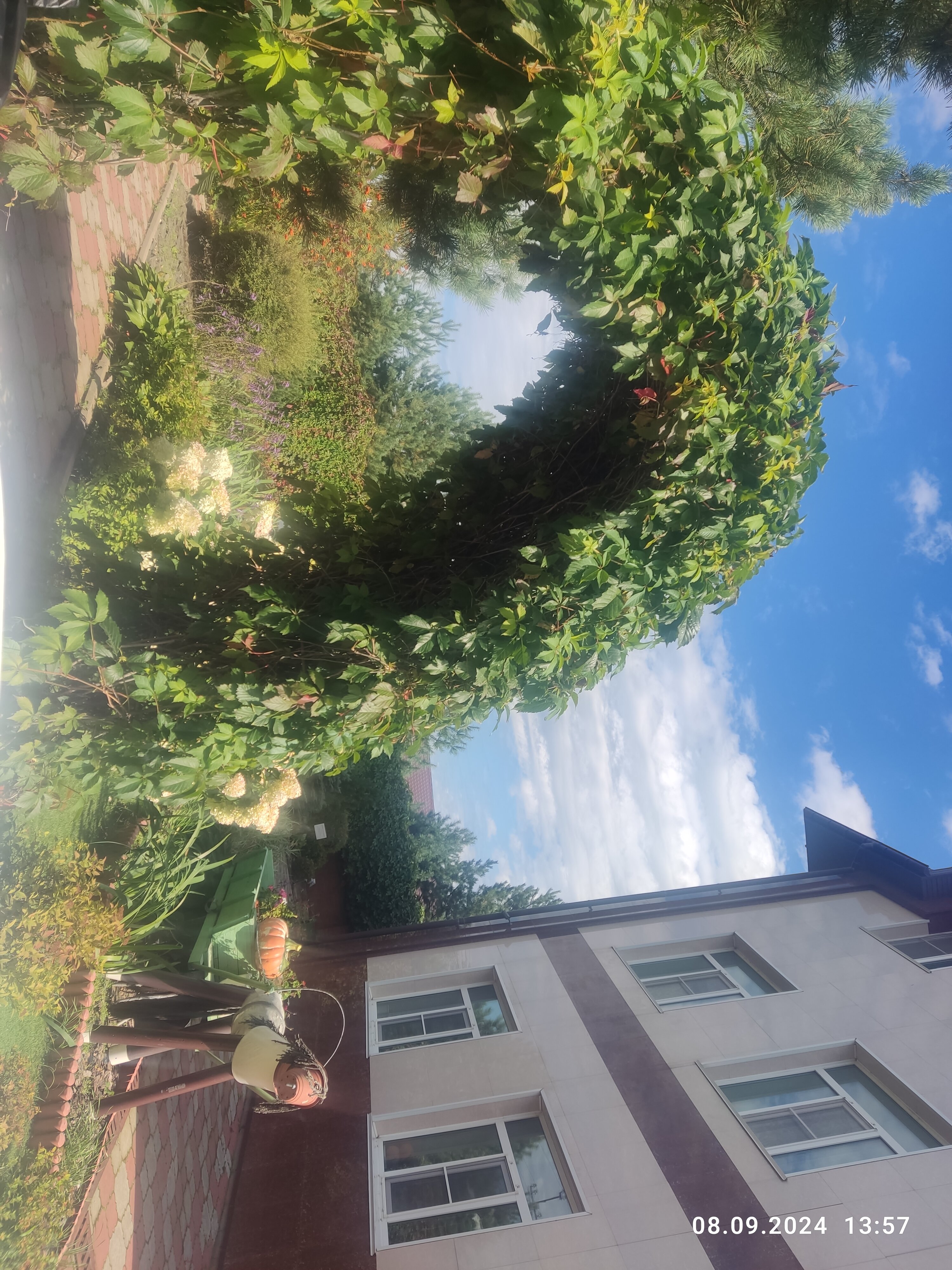 Фото Сокольники