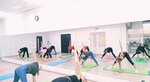 Fitzaryadka (Ashmarina Street, 33), club de fitness