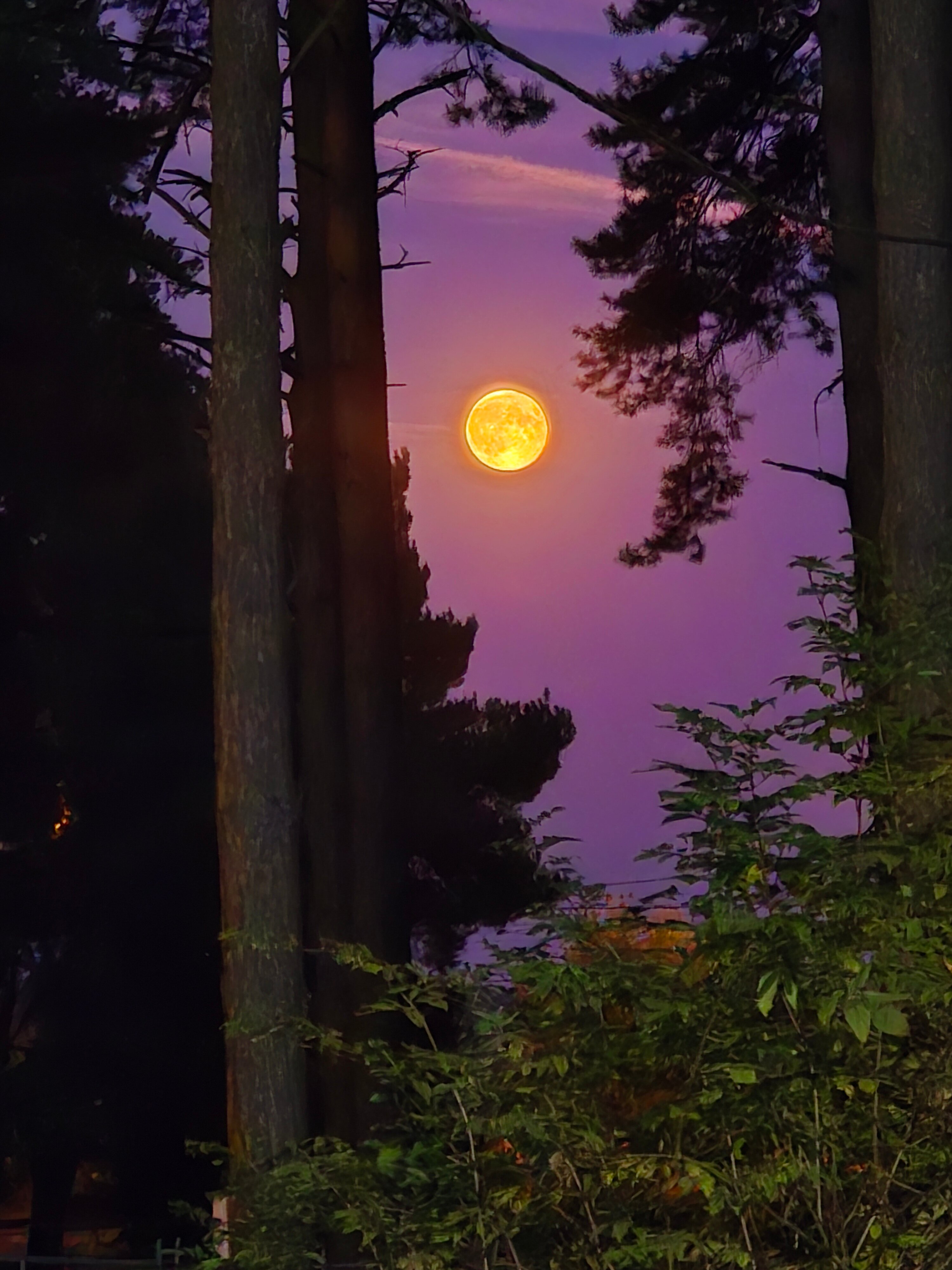 Фото Русский