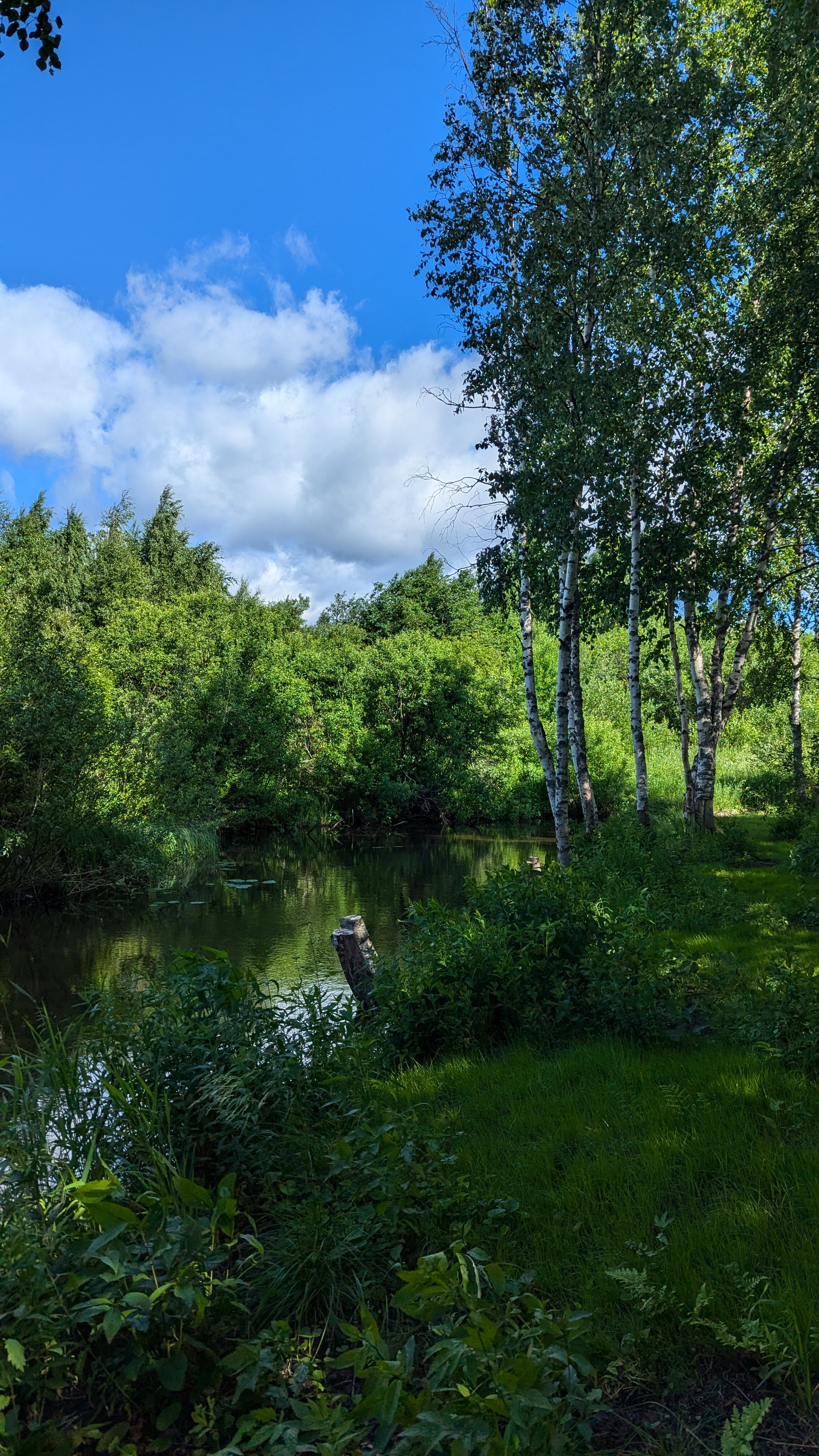 Фото Нуозьярви