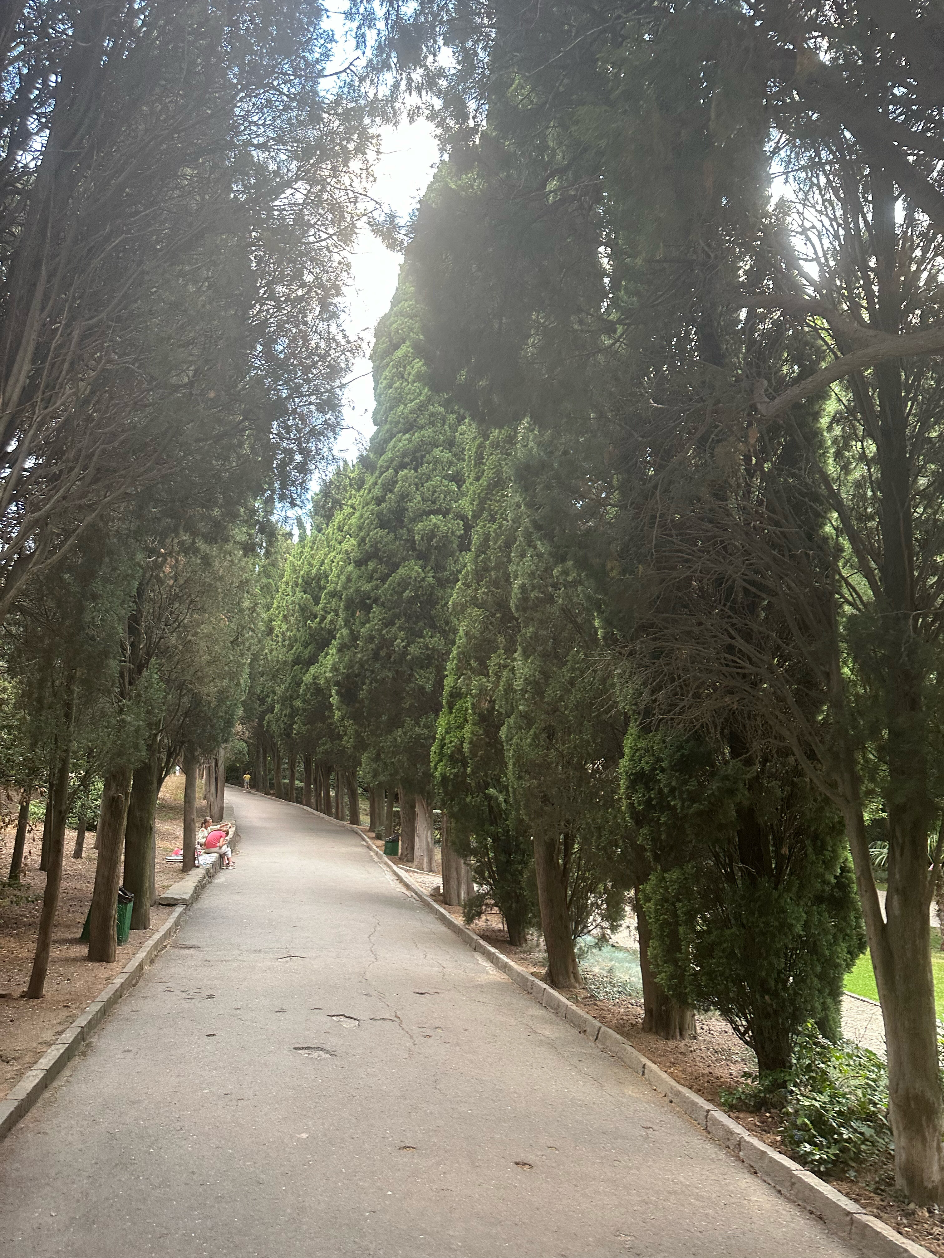 Фото Вероника