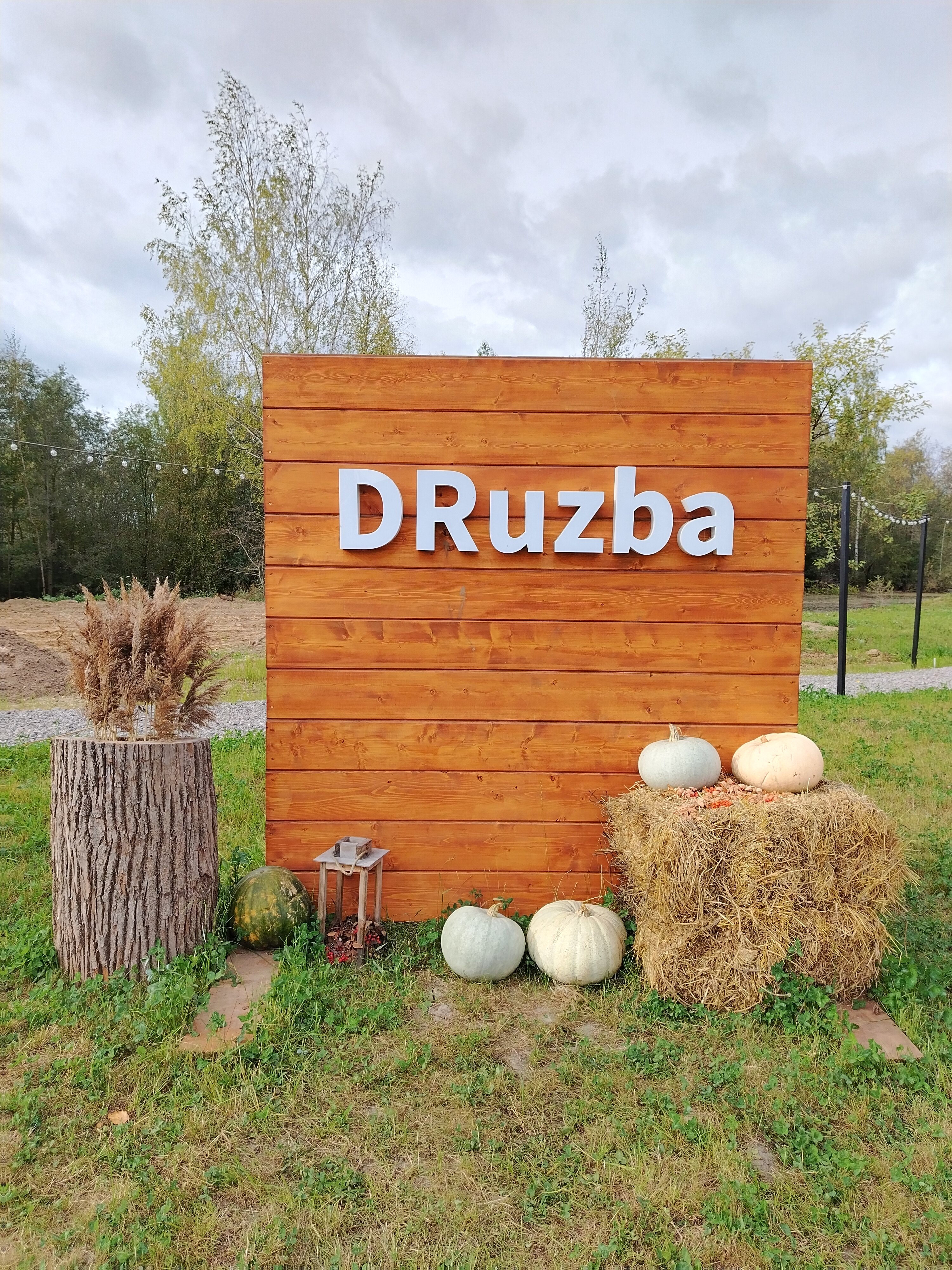 Фото Дружба