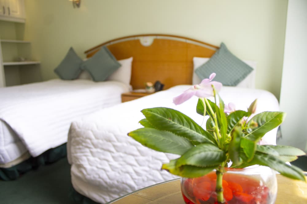 Фото Hostal de la Mancha