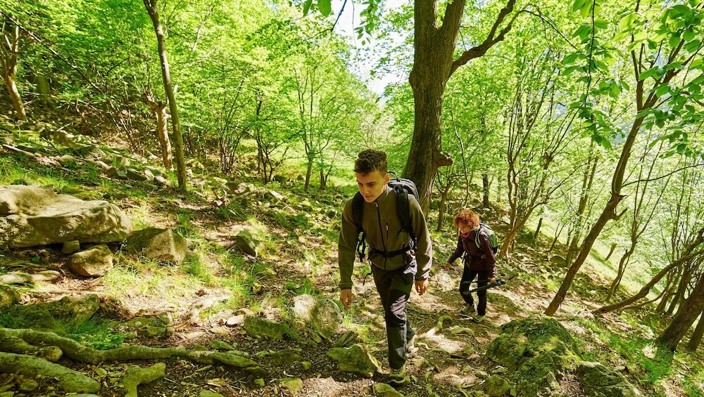 Фото Economy Inn Motel Sylmar