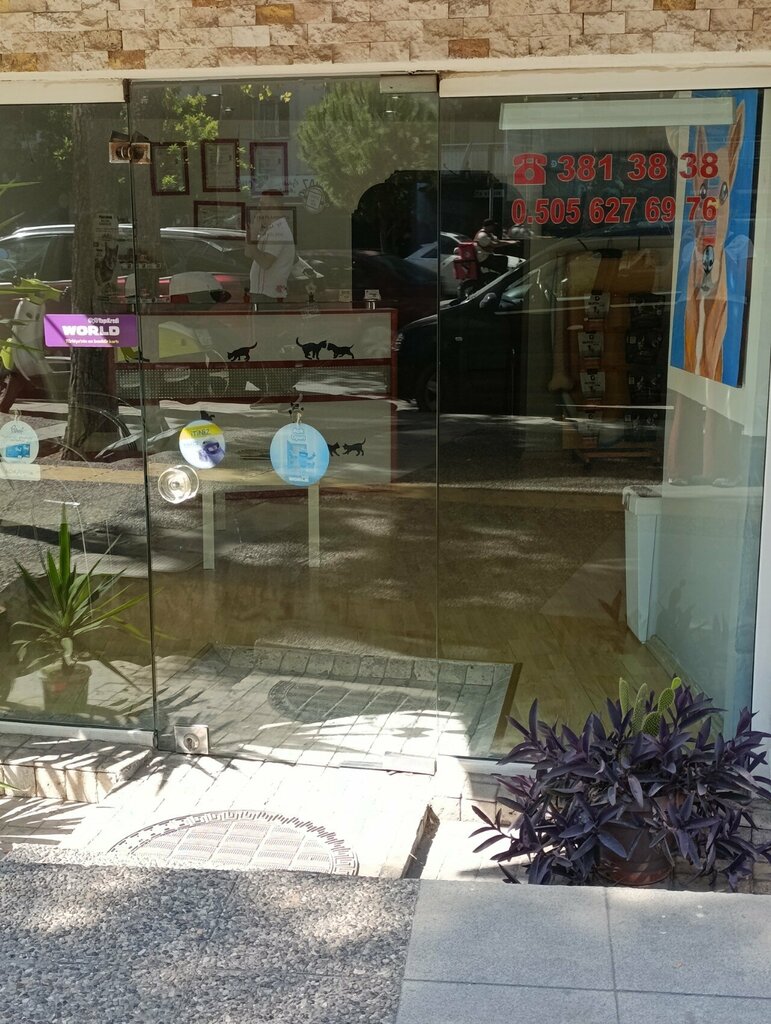Veterinary clinic Girne Veterinary Clinic, Izmir, photo