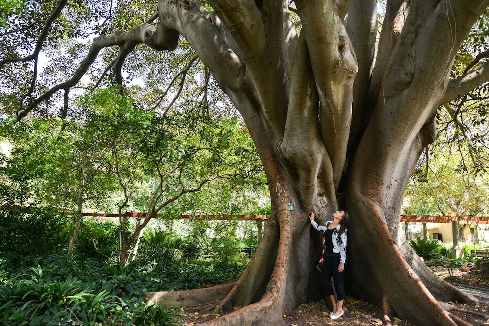 Фото Cape Cadogan Boutique Hotel