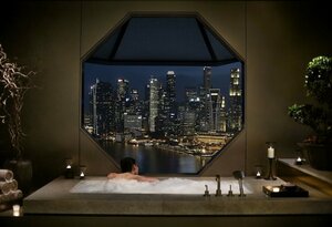 Гостиница The Ritz-Carlton, Millenia Singapore