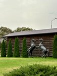Zhdanovskoe podvorie (derevnya Zhdanovskoye, вл1), horse riding
