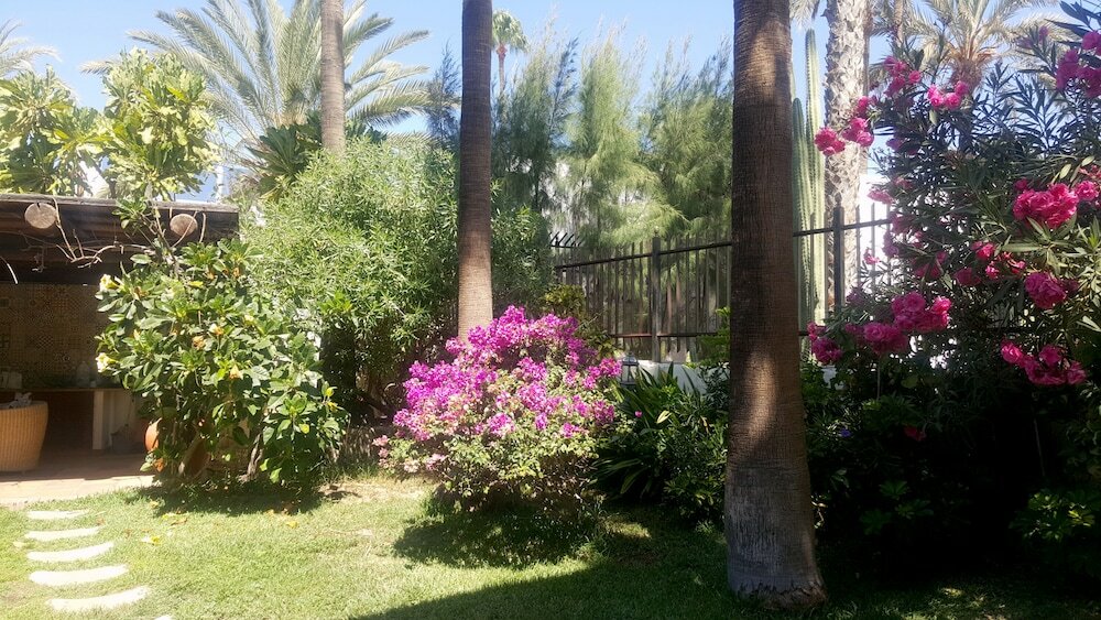 Фото VIP Apartamentos Nogal