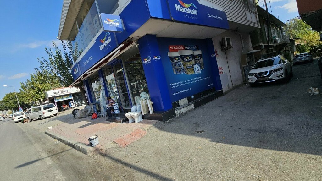 Paintwork materials Marshall, Adana, photo