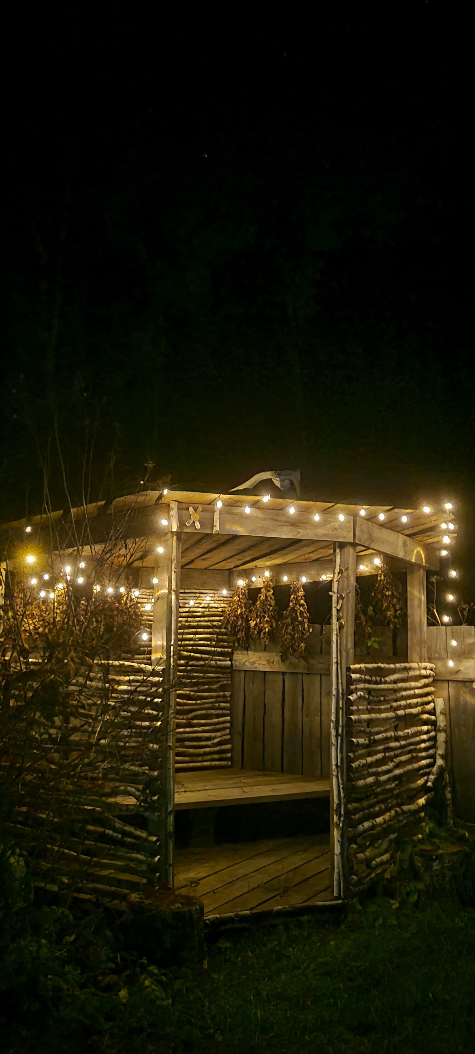 Фото Глэмпинг Стрекоза