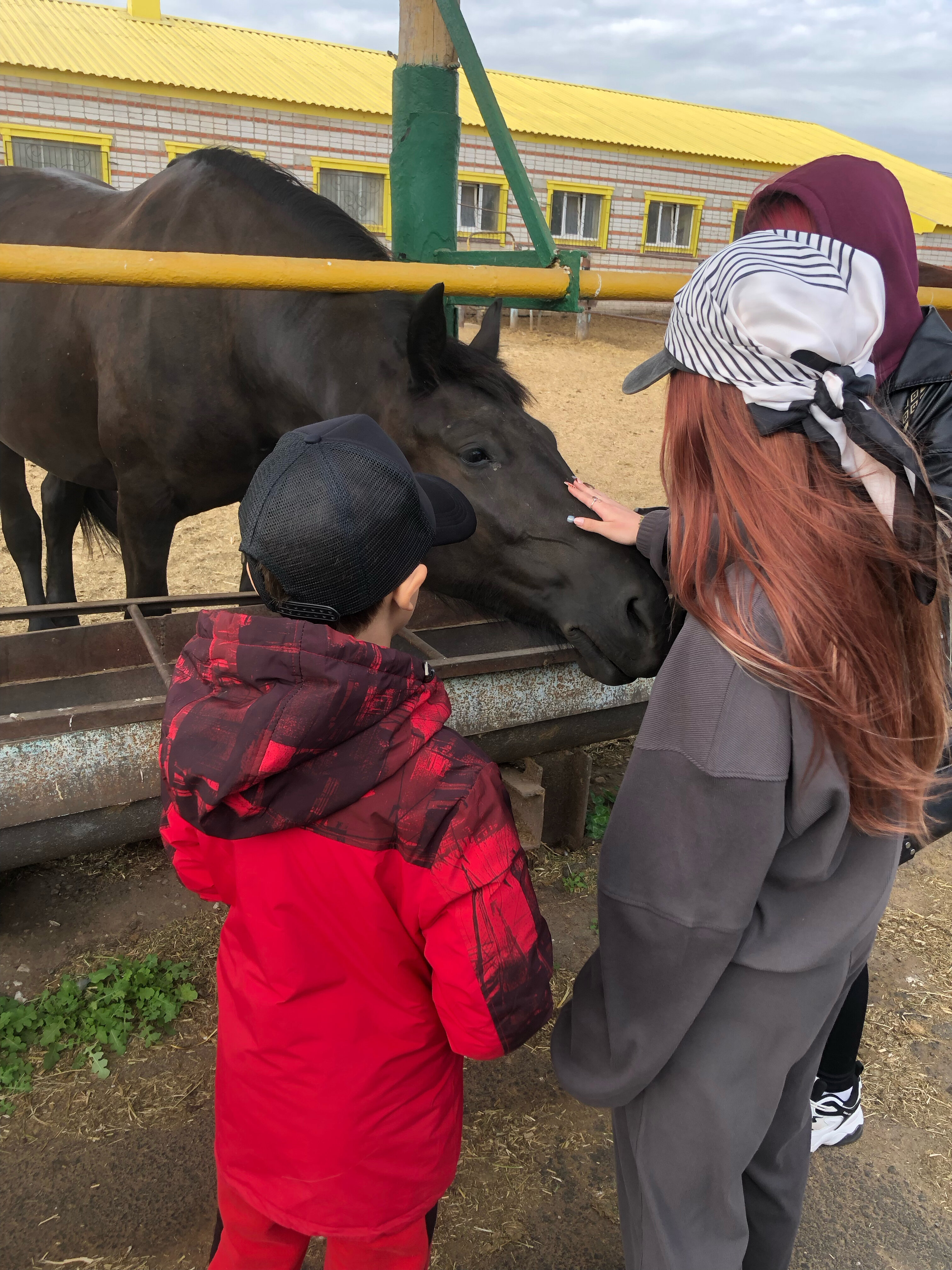 Фото Кумыска