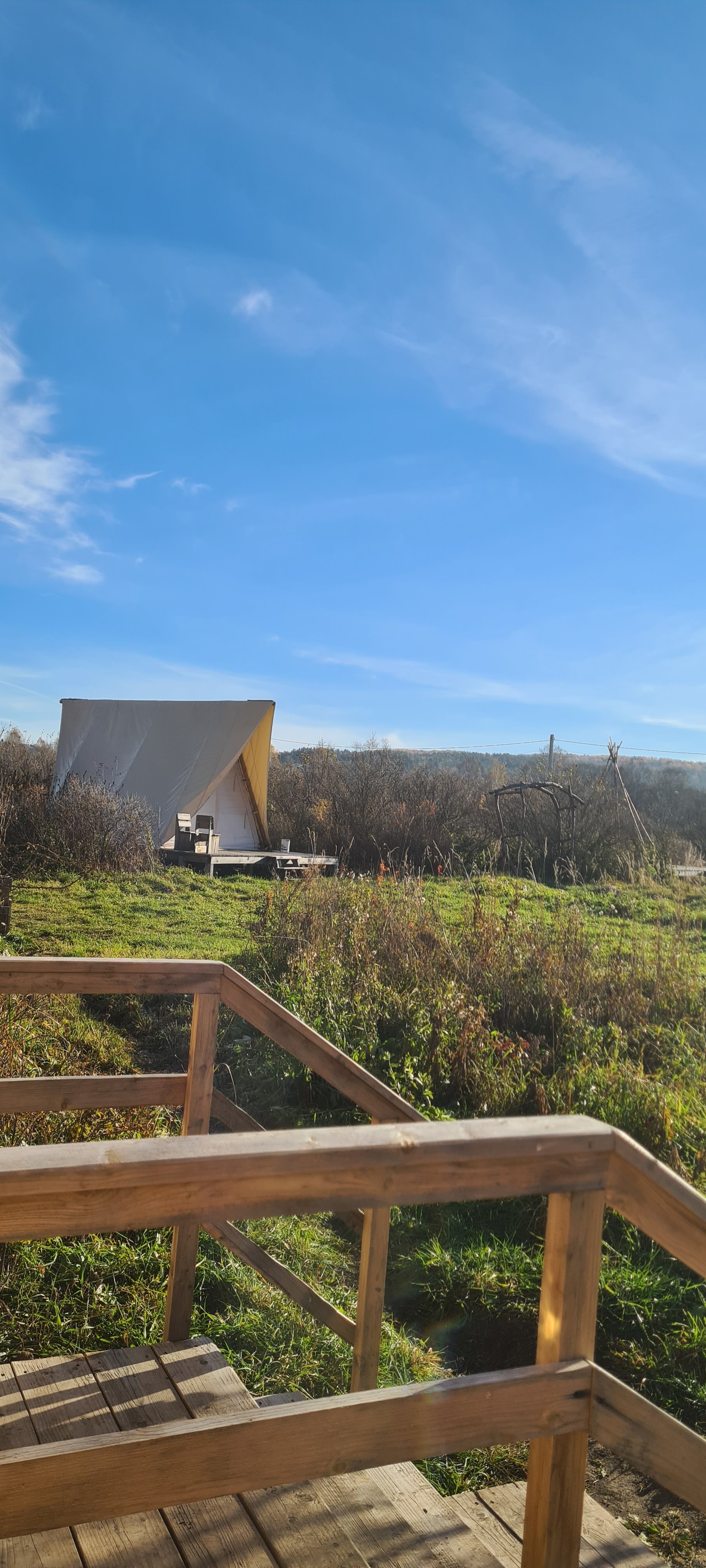 Фото Глэмпинг Стрекоза