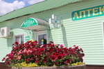 Аптека на Зелёной (selo Ivanteyevka, Zelyonaya ulitsa, 6), pharmacy