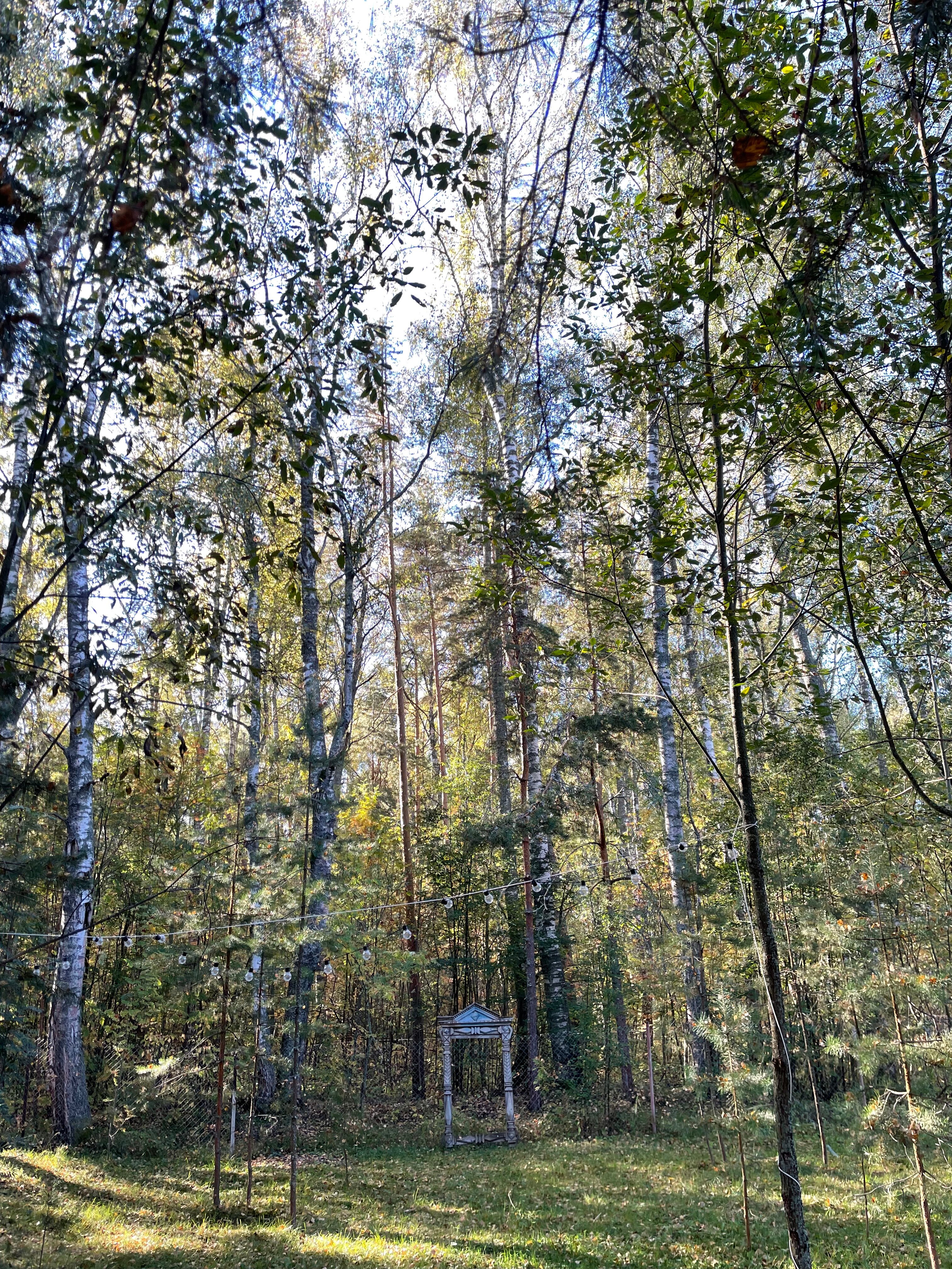 Фото Лесная пристань