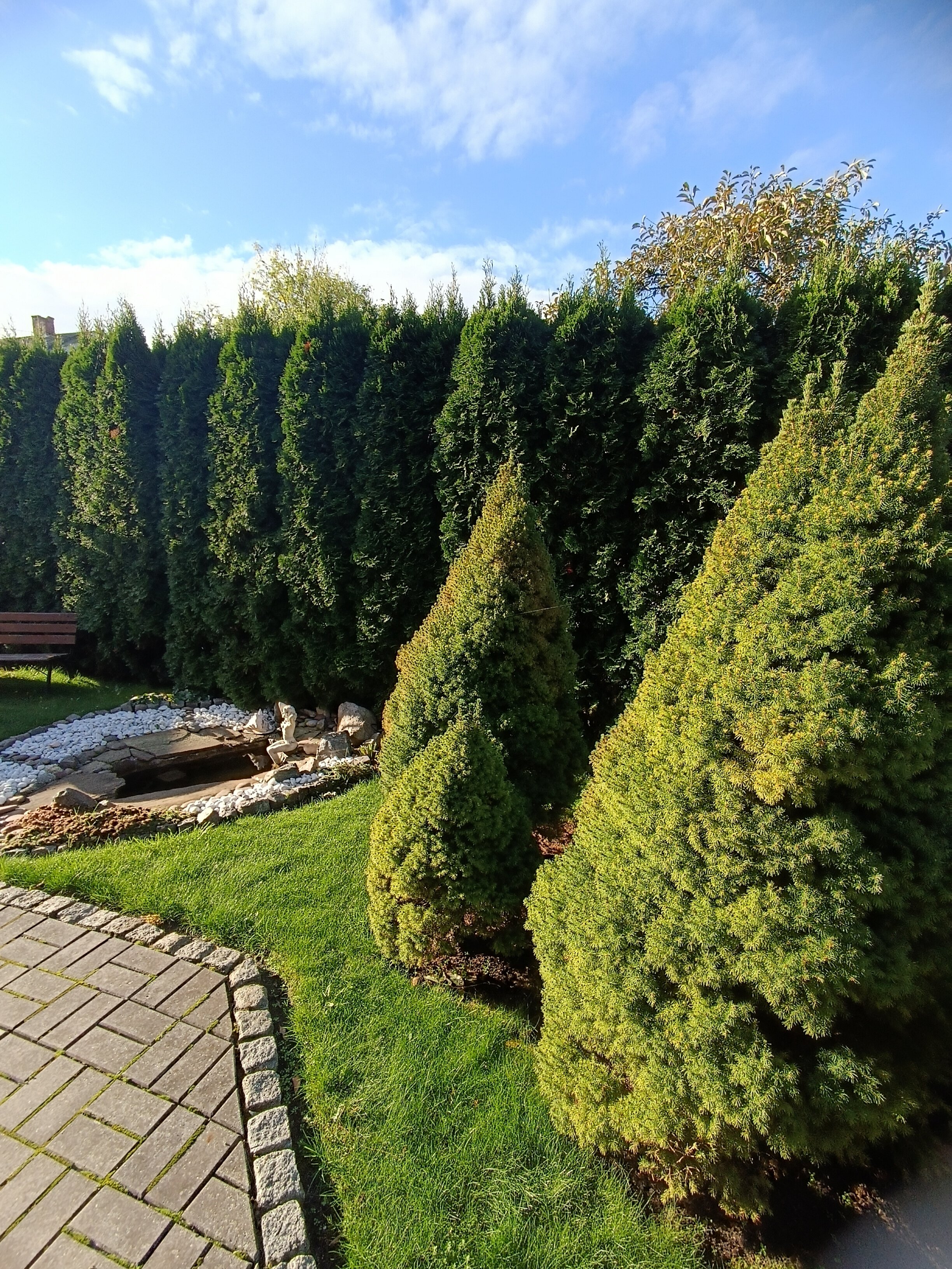 Фото Клавдия