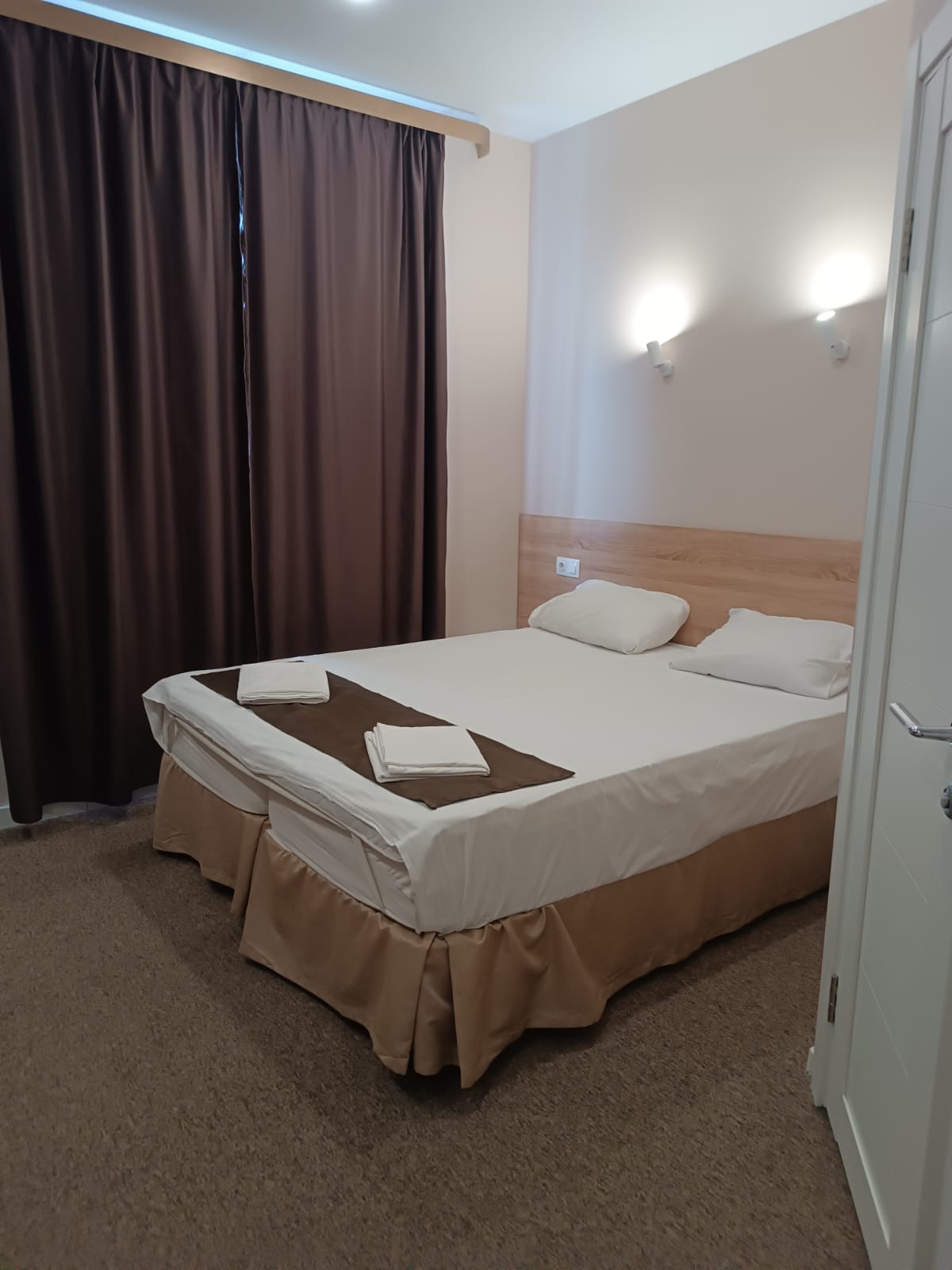 Фото Сова в Шереметьево