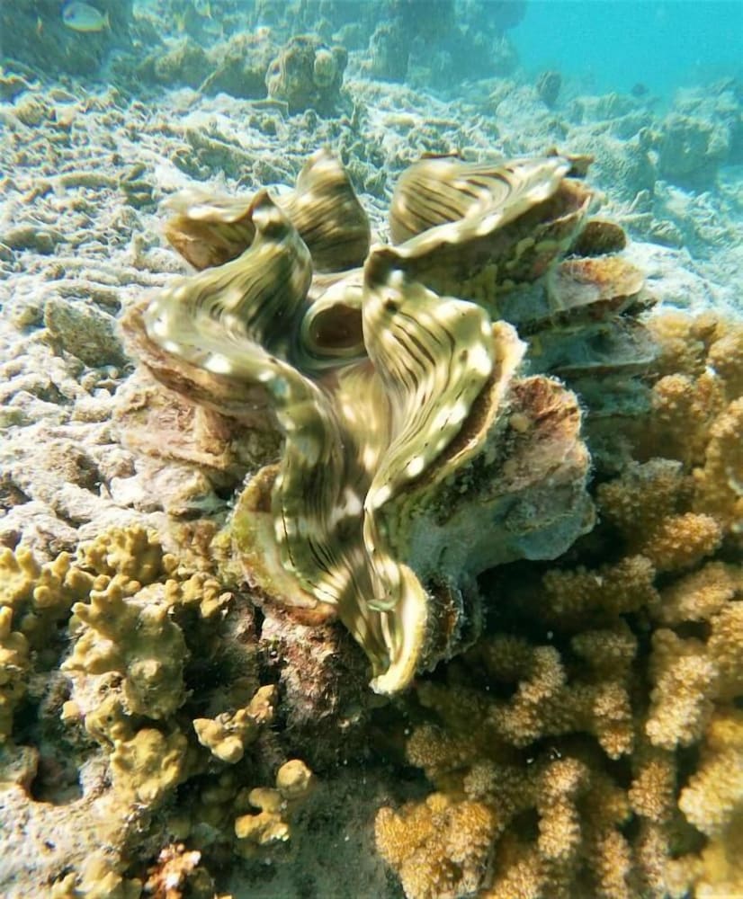 Фото One The Island