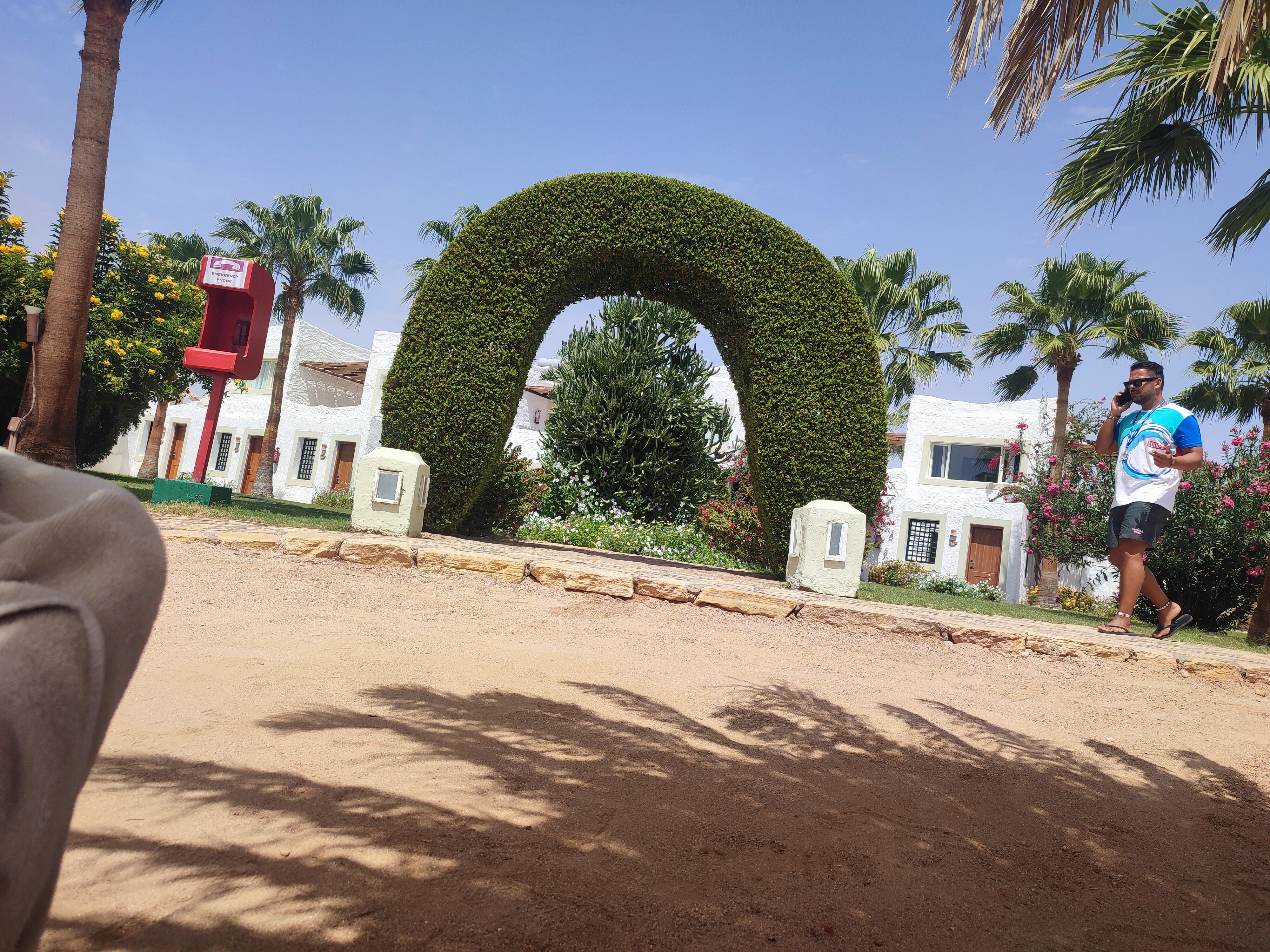 Фото Sharm Club Beach Resort