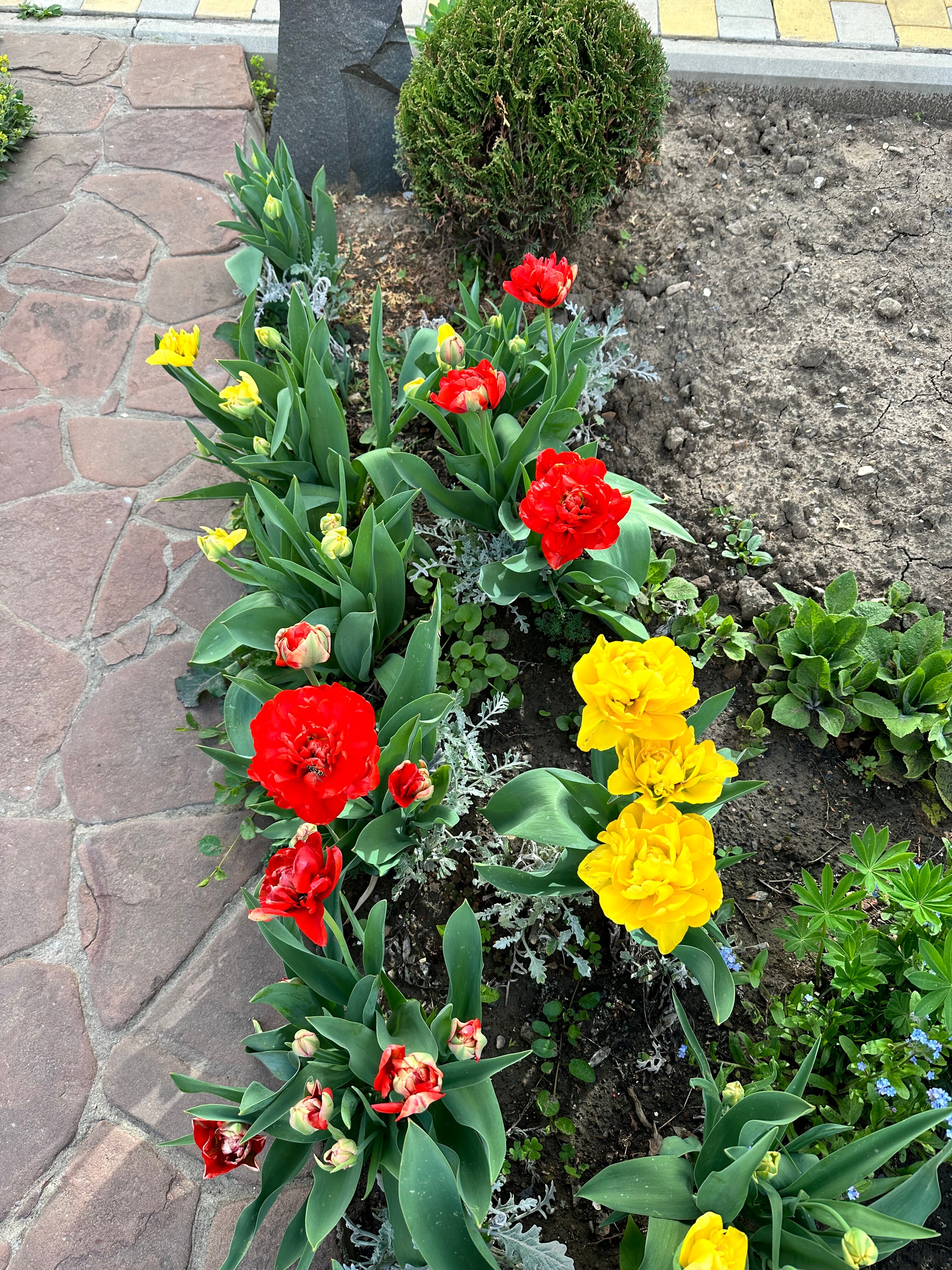 Фото Гостевой дом Крупской 1